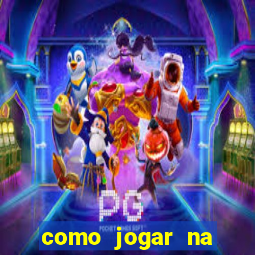 como jogar na seninha online